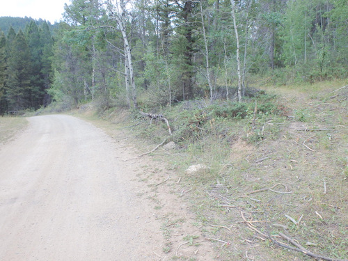 GDMBR: The fork to the right side was where we camped for the night.